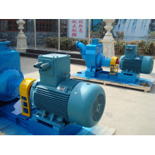 Cyz Series Centrifugal Oil Pump for Diesel Oil